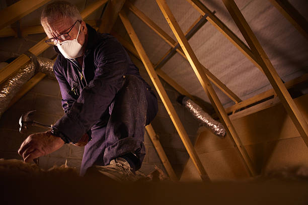Types of Insulation We Offer in Churchville, NY